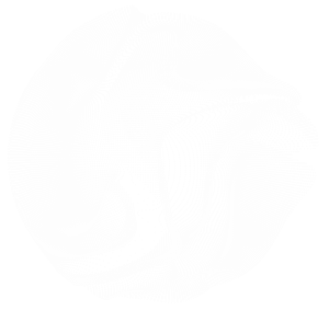 Image de la sphère